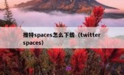 推特spaces怎么下载（twitterspaces）