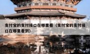 支付宝的支付接口在哪里看（支付宝的支付接口在哪里看到）
