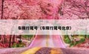 车限行尾号（车限行尾号北京）