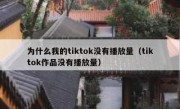 为什么我的tiktok没有播放量（tiktok作品没有播放量）