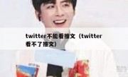 twitter不能看推文（twitter看不了推文）