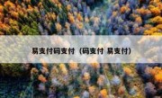 易支付码支付（码支付 易支付）