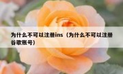 为什么不可以注册ins（为什么不可以注册谷歌账号）