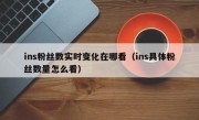 ins粉丝数实时变化在哪看（ins具体粉丝数量怎么看）