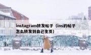 instagram转发帖子（ins的帖子怎么转发到自己主页）