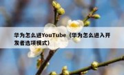 华为怎么进YouTube（华为怎么进入开发者选项模式）