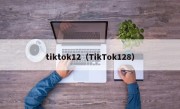 tiktok12（TikTok128）