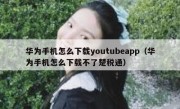 华为手机怎么下载youtubeapp（华为手机怎么下载不了楚税通）