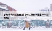 小红书和b站的区别（小红书和b站是一个公司吗）