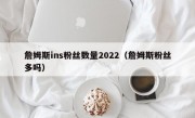 詹姆斯ins粉丝数量2022（詹姆斯粉丝多吗）