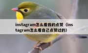 instagram怎么看我的点赞（instagram怎么看自己点赞过的）