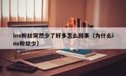 ins粉丝突然少了好多怎么回事（为什么ins粉丝少）