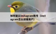 如何建立instagram账号（instagram怎么创建用户）