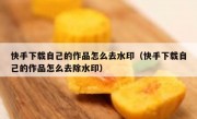 快手下载自己的作品怎么去水印（快手下载自己的作品怎么去除水印）