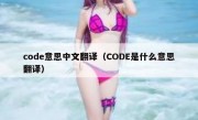 code意思中文翻译（CODE是什么意思翻译）