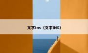 文字ins（文字INS）