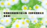 电视剧狂飙剧情介绍32集（狂飙电视剧女主角是谁）