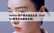 twitter账户被冻结怎么办（twitter账号怎么解除冻结）