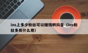 ins上多少粉丝可以赚钱啊抖音（ins粉丝多有什么用）
