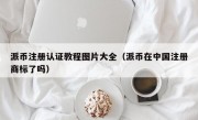 派币注册认证教程图片大全（派币在中国注册商标了吗）