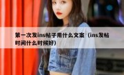 第一次发ins帖子用什么文案（ins发帖时间什么时候好）