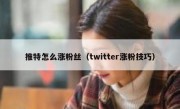 推特怎么涨粉丝（twitter涨粉技巧）