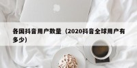 各国抖音用户数量（2020抖音全球用户有多少）