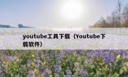 youtube工具下载（Youtube下载软件）