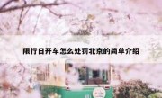 限行日开车怎么处罚北京的简单介绍