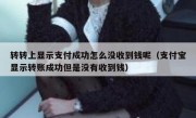 转转上显示支付成功怎么没收到钱呢（支付宝显示转账成功但是没有收到钱）