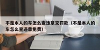 不是本人的车怎么查违章交罚款（不是本人的车怎么查违章免费）