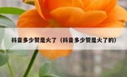 抖音多少赞是火了（抖音多少赞是火了的）