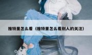 推特里怎么看（推特里怎么看别人的关注）