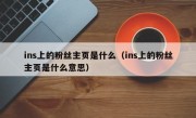 ins上的粉丝主页是什么（ins上的粉丝主页是什么意思）