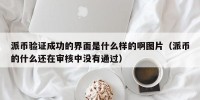 派币验证成功的界面是什么样的啊图片（派币的什么还在审核中没有通过）