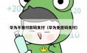 华为不用付款码支付（华为免密码支付）