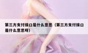 第三方支付接口是什么意思（第三方支付接口是什么意思呀）