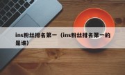 ins粉丝排名第一（ins粉丝排名第一的是谁）