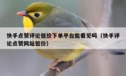 快手点赞评论低价下单平台能看见吗（快手评论点赞网站低价）