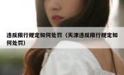 违反限行规定如何处罚（天津违反限行规定如何处罚）