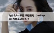 为什么ins不能评论图片（instagram为什么评论不了）