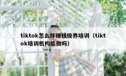tiktok怎么样赚钱极界培训（tiktok培训机构能做吗）