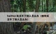 twitter关注不了别人怎么办（推特关注不了别人怎么办）