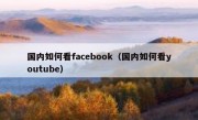 国内如何看facebook（国内如何看youtube）