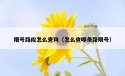 限号路段怎么查询（怎么查哪条路限号）