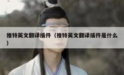 推特英文翻译插件（推特英文翻译插件是什么）