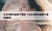 小红书和b站哪个更好（小红书和b站哪个更好赚钱）