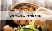 码支付api接入（支付接口代码）