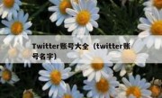 Twitter账号大全（twitter账号名字）
