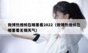 微博热搜榜在哪里看2022（微博热搜榜在哪里看无锡天气）
